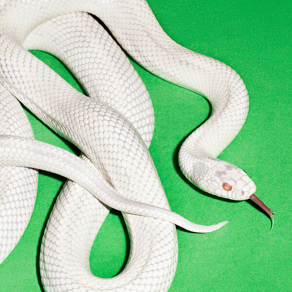 Deftones - Private Music